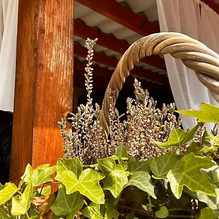 شقة Bon Bon Del Corso Con Terrazzo E Aria Condizionata *